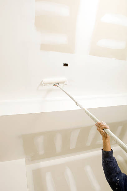 Trusted Rialto, CA Mold Removal Experts